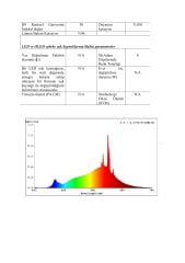 2700K 288 LED 24V İÇ MEKAN DOB ŞERİT LED