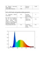 6000K TEK ÇİP 60 LED İÇ MEKAN ŞERİT LED 4.8W