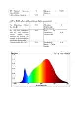 8MM 3000K SPOTLESS IP62 12W NEON  24V