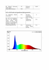 8X8MM 6000K IP67 6W NEON  24V