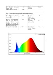 6X6MM 3000K IP67 8W NEON  24V