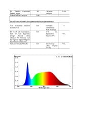 6X6MM 4000K IP67 8W NEON  24V