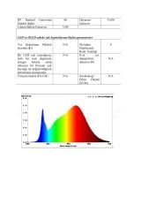 4X10MM T MODEL 3000K IP67 9.6W NEON 24V