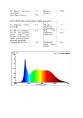 4X10MM T MODEL 4000K IP67 9.6W NEON  24V