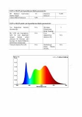 4000K NEON LED 24V