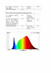 3X8MM 3000K IP67 6W NEON 24V