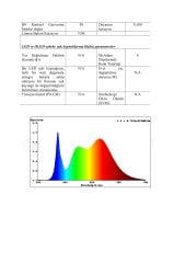 4000K 480 LED 24V İÇ MEKAN COB ŞERİT LED