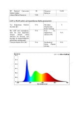 6000K 480 LED 24V İÇ MEKAN COB ŞERİT LED