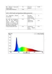 10000K 480 LED 24V İÇ MEKAN COB ŞERİT LED