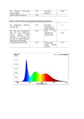6000K 480 LED 24V DIŞ MEKAN IP67 COB ŞERİT LED