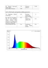 6000K 288 LED 24V İÇ MEKAN DOB ŞERİT LED