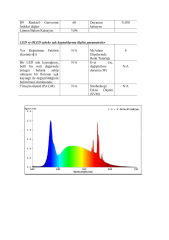 6000K 288 LED 24V İÇ MEKAN DOB ŞERİT LED
