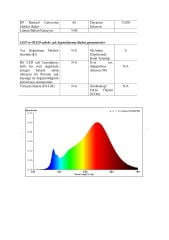 10X10MM 2700K IP67 10W NEON LED 24V