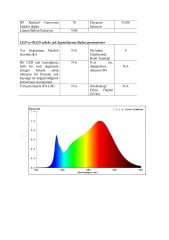 10X10MM 3000K IP67 10W NEON LED 24V