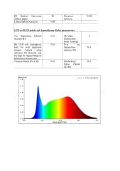 10X10MM 4000K IP67 10W NEON LED 24V