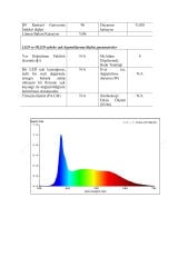 10X10MM 6000K IP67 10W NEON LED 24V