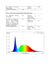 5050 RGBW 6000K İÇ MEKAN 60 LED 24V ŞERİT LED 19.2W