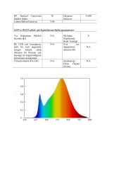 5050 3000K İÇ MEKAN 96 LED 24V ŞERİT LED 23W