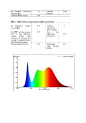4000K 480 LED 24V İÇ MEKAN COB ŞERİT LED