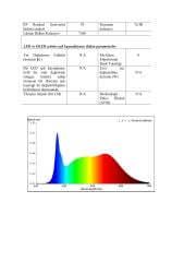 360° NEON LED 4000K 24V