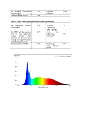 360° NEON LED 6000K 24V
