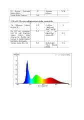 10000K 480 LED 24V İÇ MEKAN COB ŞERİT LED