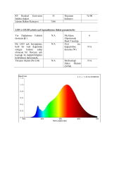 2700K IP68 ŞERİT LED 24V 6 METRE 8W
