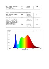 7x5MM 4000K IP67 8W NEON  24V