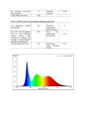 7x5MM 6000K IP67 8W NEON  24V
