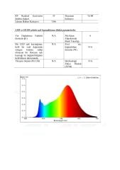 3X5MM 3000K IP67 5W NEON 24V