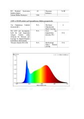 3X5MM 4000K IP67 5W NEON 24V