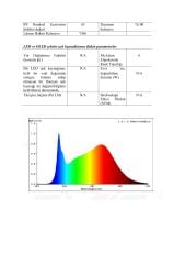 3X5MM 4000K IP67 5W NEON 24V