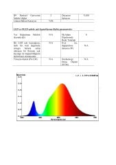 3000K TEK ÇİP 60 LED ŞERİT LED 24V 4.8W