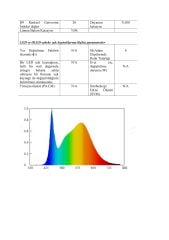 5050 4000K İÇ MEKAN 96 LED 24V ŞERİT LED 23W