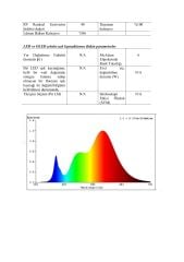 2700K 480 LED 24V 5MM İÇ MEKAN COB ŞERİT LED