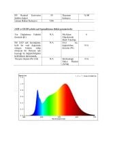 4x10MM 3000K NEON LED 12V