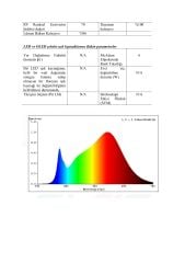 20X20MM 3000K IP67 16W NEON 24V