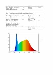 HI-LED NEON LED 8MM 4000K DIŞ MEKAN 24V